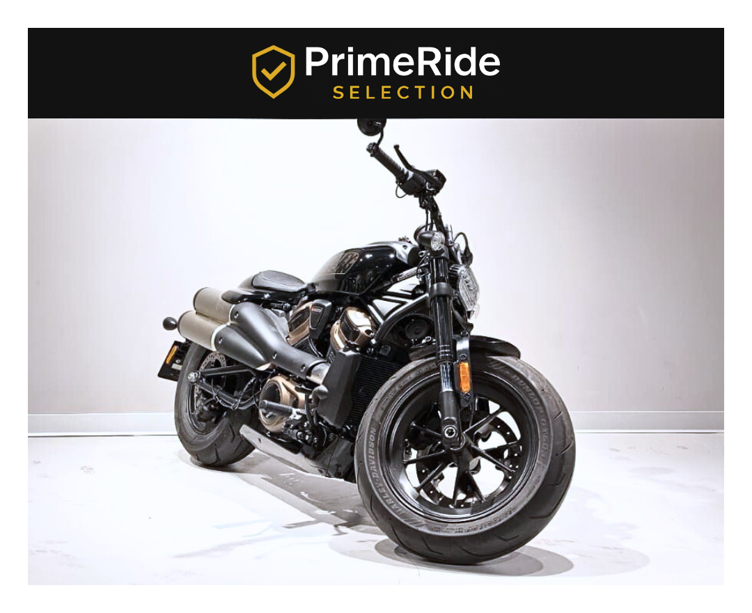 HARLEY DAVIDSON Sportster S