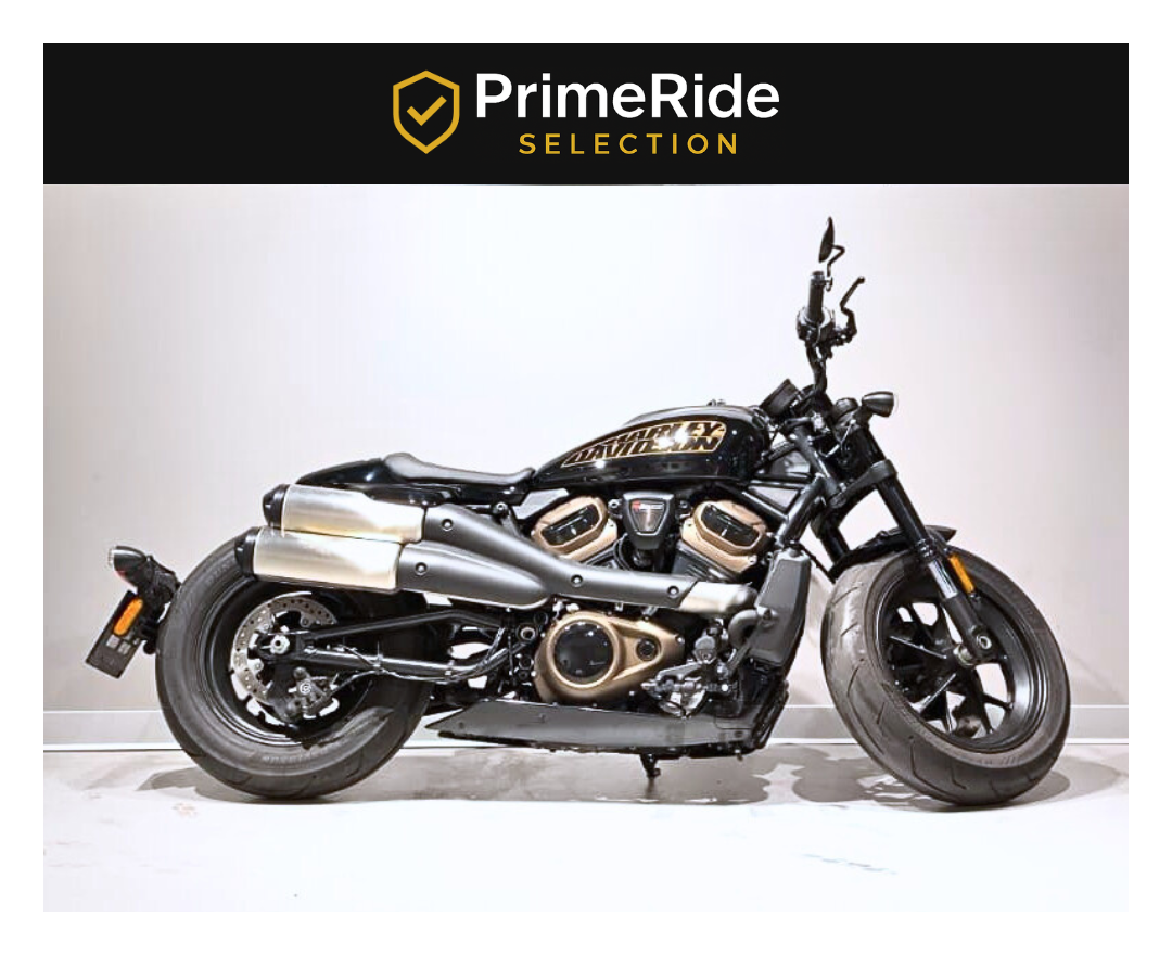 HARLEY DAVIDSON Sportster S